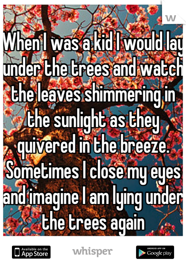 When I was a kid I would lay under the trees and watch the leaves shimmering in the sunlight as they quivered in the breeze. 
Sometimes I close my eyes and imagine I am lying under the trees again