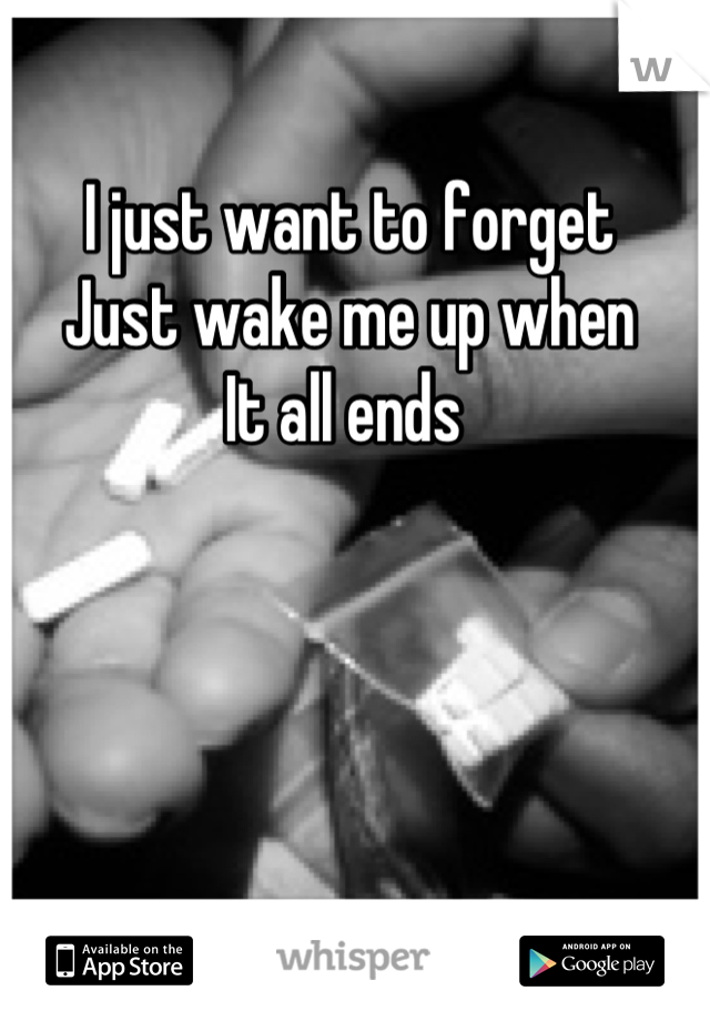 I just want to forget 
Just wake me up when 
It all ends 