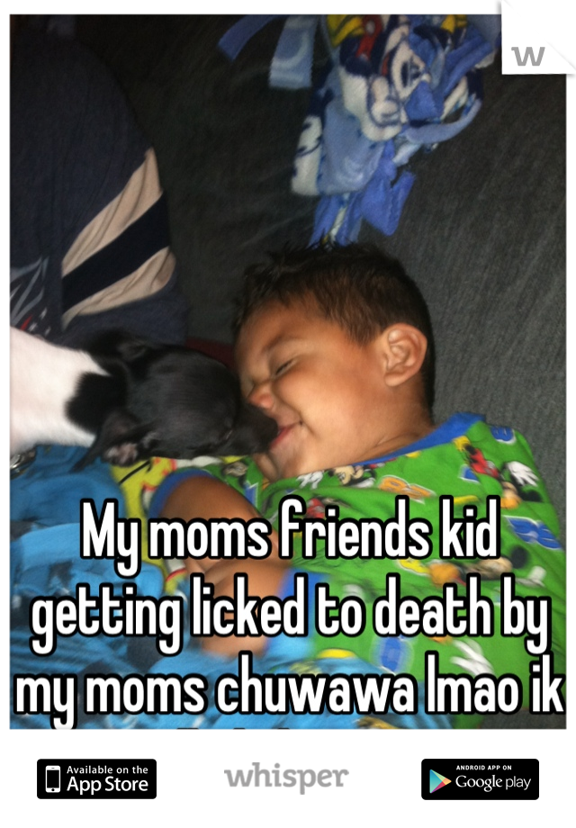 My moms friends kid getting licked to death by my moms chuwawa lmao ik I spelled that wrong