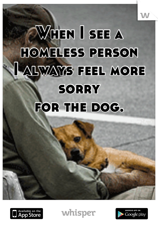 When I see a homeless person
I always feel more sorry
for the dog.