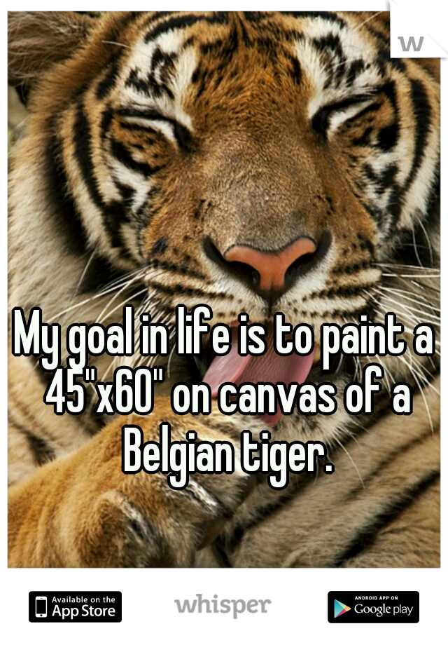 My goal in life is to paint a 45"x60" on canvas of a Belgian tiger.