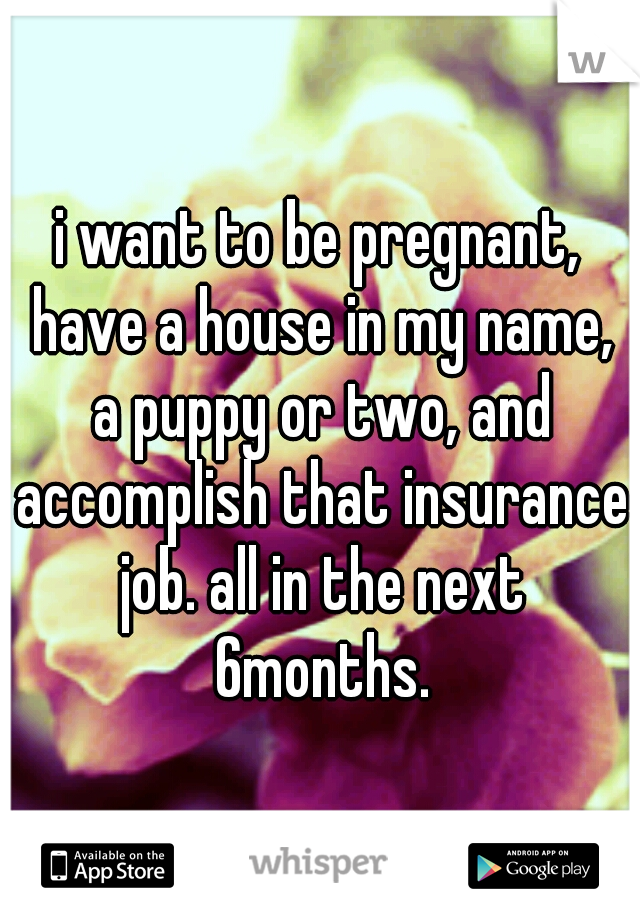 i want to be pregnant, have a house in my name, a puppy or two, and accomplish that insurance job. all in the next 6months.