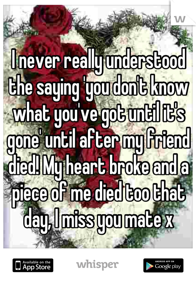 I never really understood the saying 'you don't know what you've got until it's gone' until after my friend died! My heart broke and a piece of me died too that day, I miss you mate x