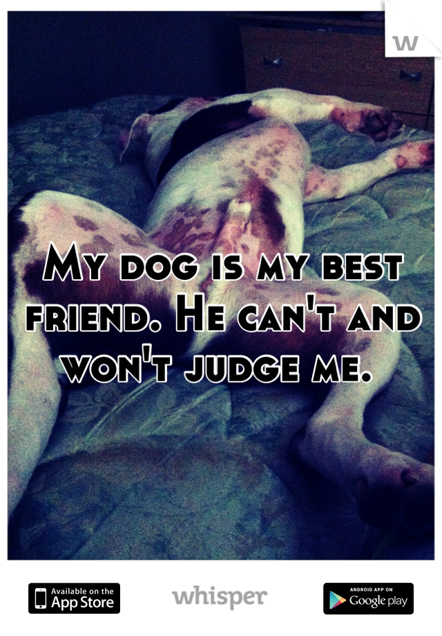 My dog is my best friend. He can't and won't judge me. 