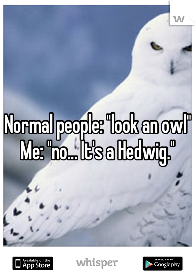 Normal people: "look an owl"
Me: "no... It's a Hedwig."