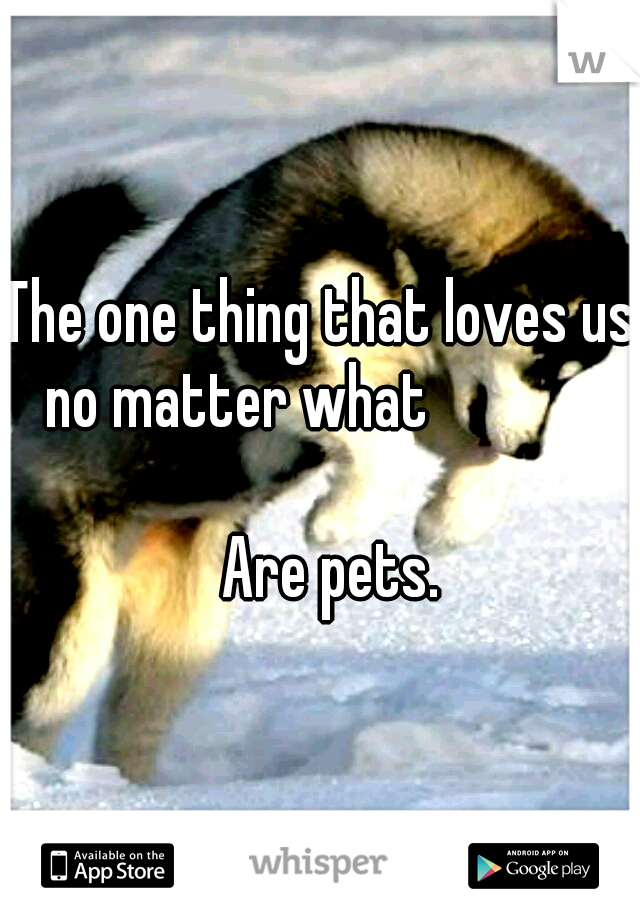 The one thing that loves us no matter what

   
    













     
        Are pets.