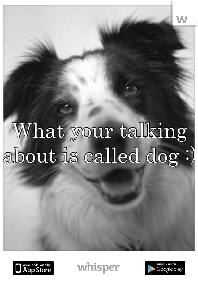 What your talking about is called dog :)