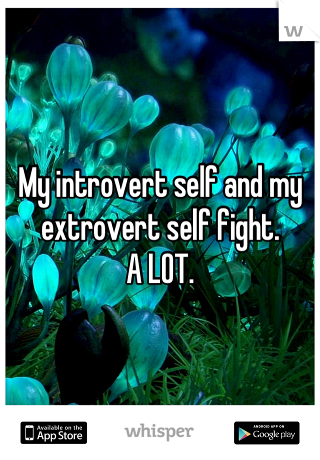 My introvert self and my extrovert self fight.
A LOT.