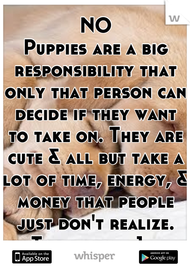 NO
Puppies are a big responsibility that only that person can decide if they want to take on. They are cute & all but take a lot of time, energy, & money that people just don't realize. Talk to her 1st