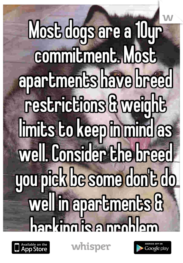 Most dogs are a 10yr commitment. Most apartments have breed restrictions & weight limits to keep in mind as well. Consider the breed you pick bc some don't do well in apartments & barking is a problem.