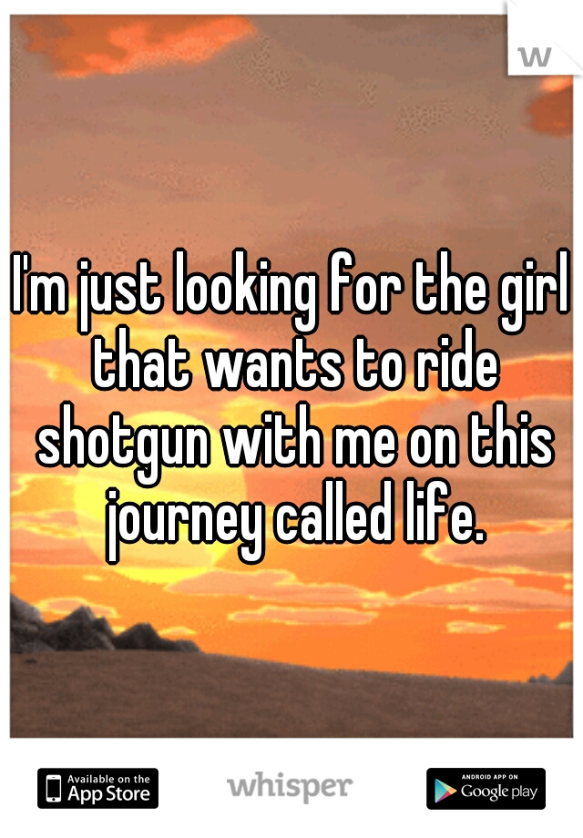 I'm just looking for the girl that wants to ride shotgun with me on this journey called life.