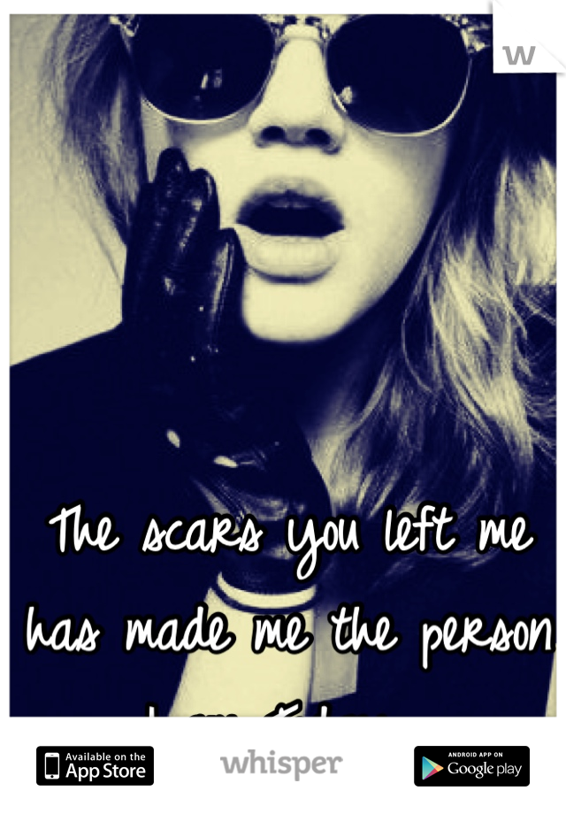 The scars you left me has made me the person I am Today. 