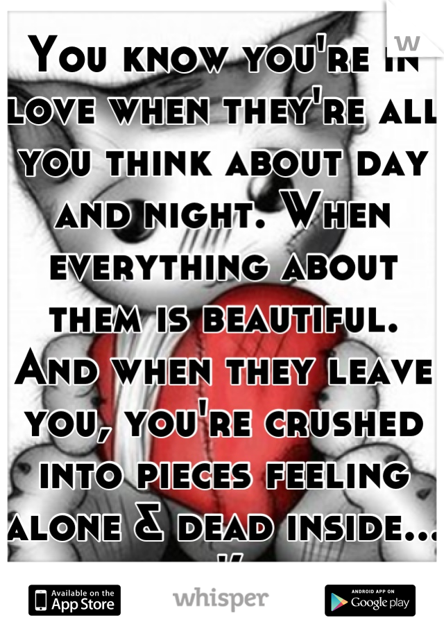 You know you're in love when they're all you think about day and night. When everything about them is beautiful. And when they leave you, you're crushed into pieces feeling alone & dead inside... :'(