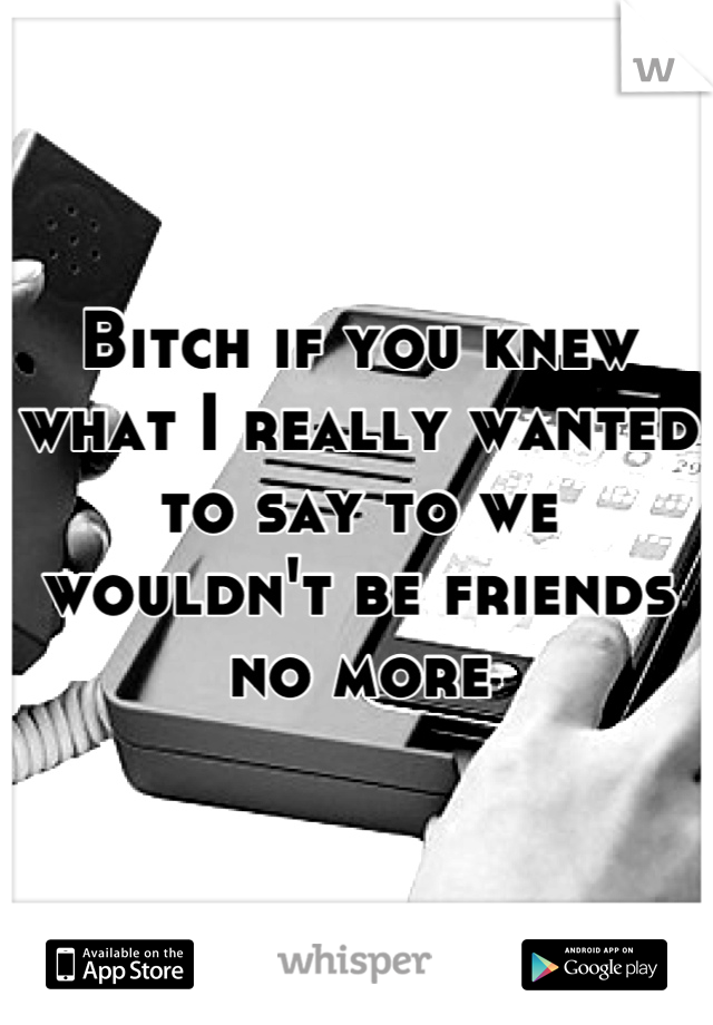 Bitch if you knew what I really wanted to say to we wouldn't be friends no more