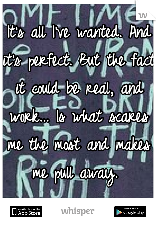 It's all I've wanted. And it's perfect. But the fact it could be real, and work... Is what scares me the most and makes me pull away. 