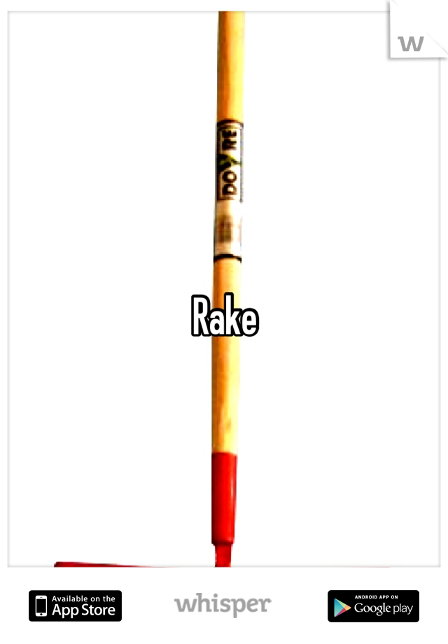 Rake
