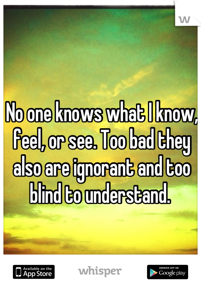 No one knows what I know, feel, or see. Too bad they also are ignorant and too blind to understand. 