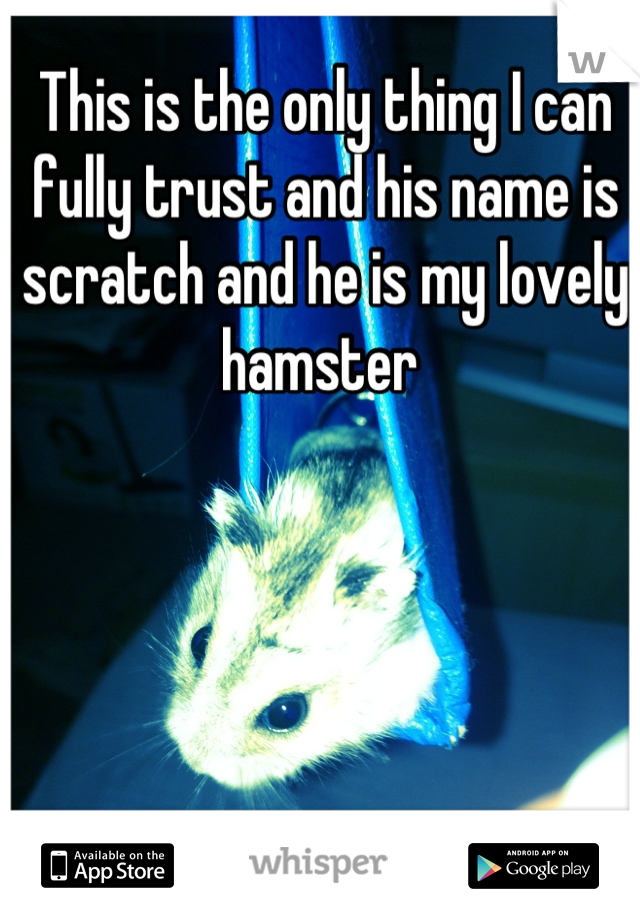 This is the only thing I can fully trust and his name is scratch and he is my lovely hamster 