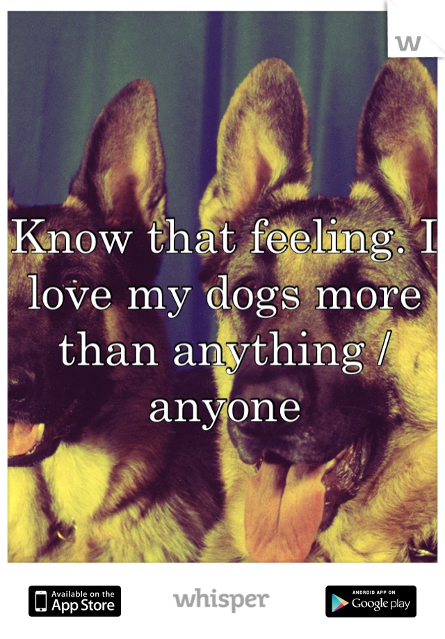 Know that feeling. I love my dogs more than anything / anyone