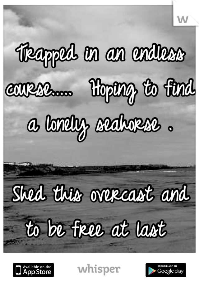 Trapped in an endless course.....  Hoping to find a lonely seahorse . 

Shed this overcast and to be free at last 