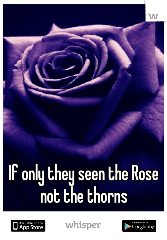 If only they seen the Rose 
not the thorns