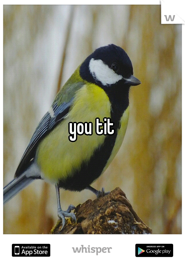 you tit