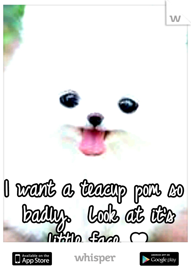 I want a teacup pom so badly. 
Look at it's little face ♥