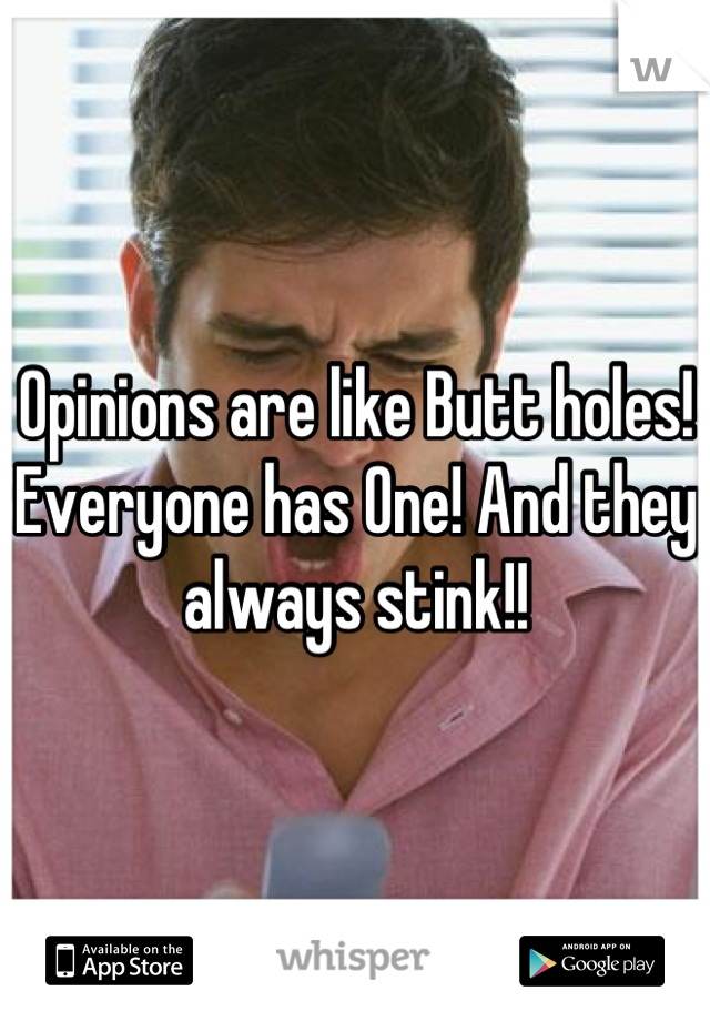 Opinions are like Butt holes! Everyone has One! And they always stink!!