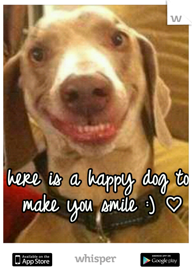 here is a happy dog to make you smile :) ♡