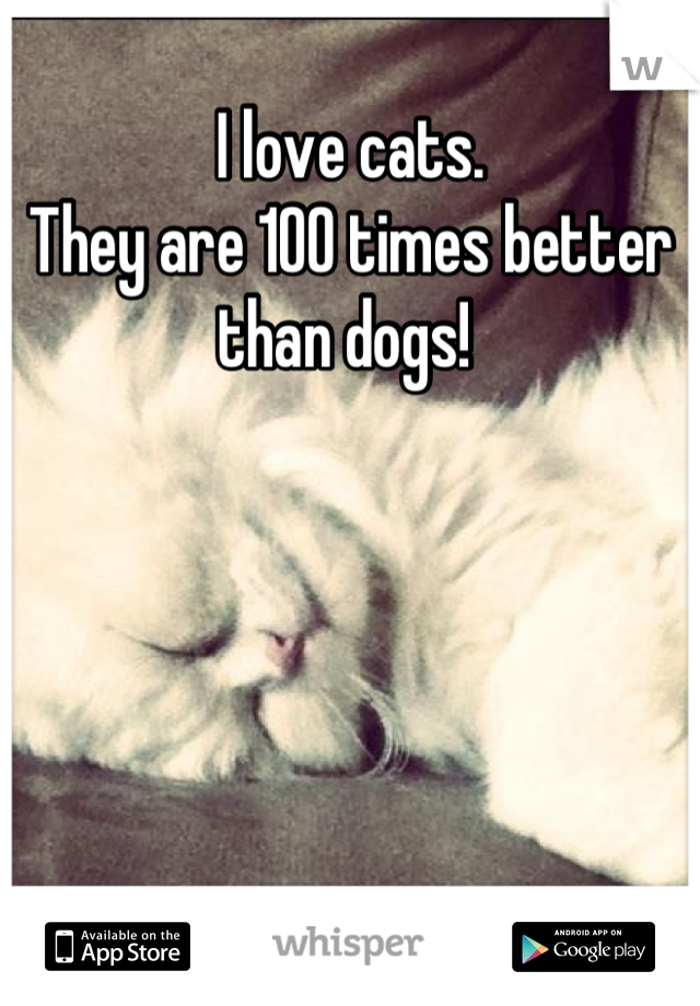 I love cats. 
They are 100 times better than dogs! 