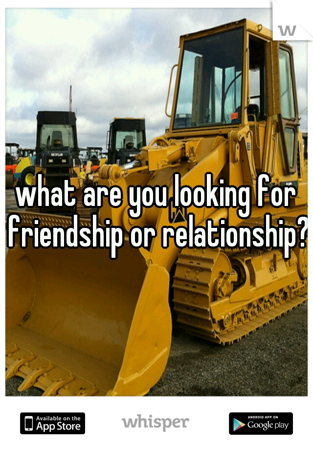 what are you looking for friendship or relationship? 