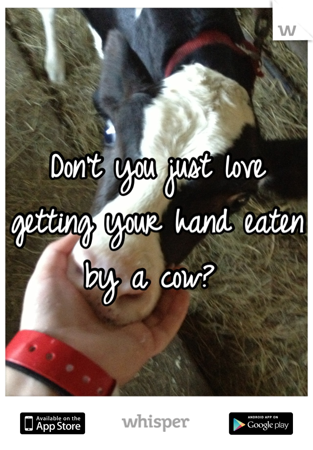 Don't you just love getting your hand eaten by a cow? 