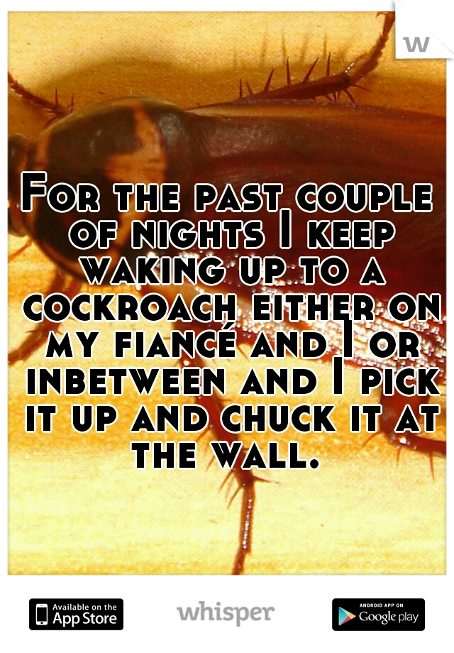 For the past couple of nights I keep waking up to a cockroach either on my fiancé and I or inbetween and I pick it up and chuck it at the wall. 