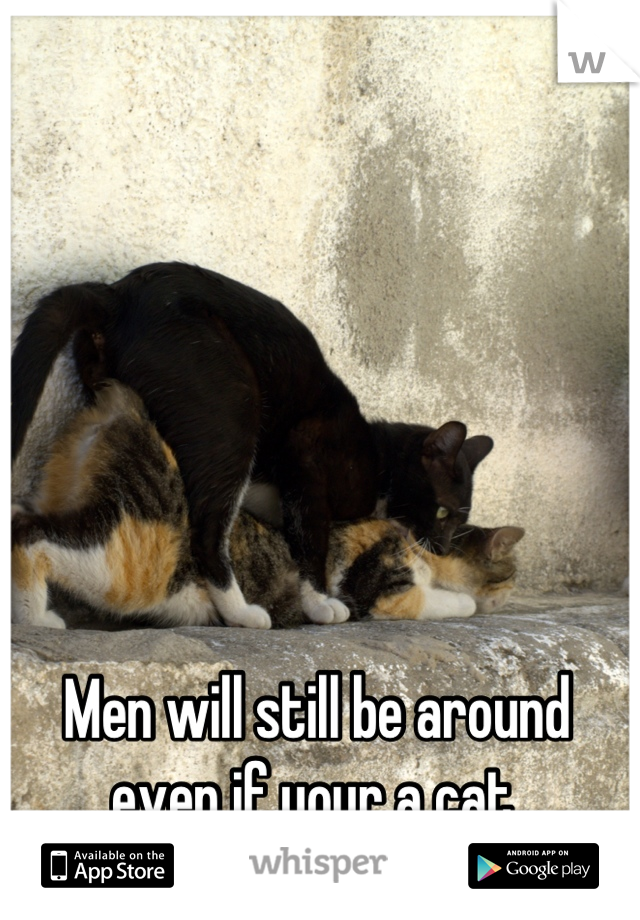 Men will still be around even if your a cat.