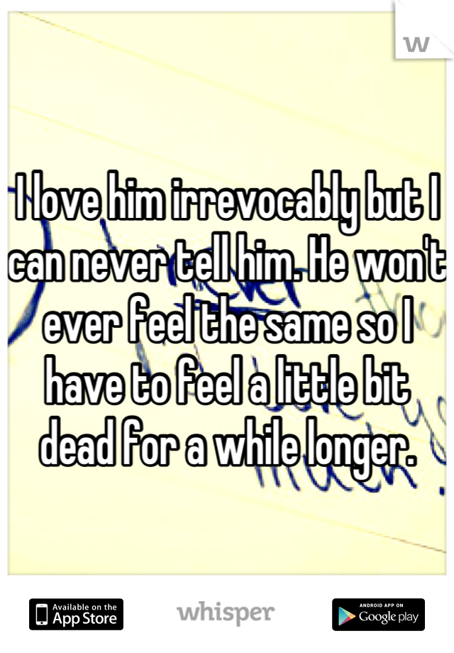 I love him irrevocably but I can never tell him. He won't ever feel the same so I have to feel a little bit dead for a while longer.