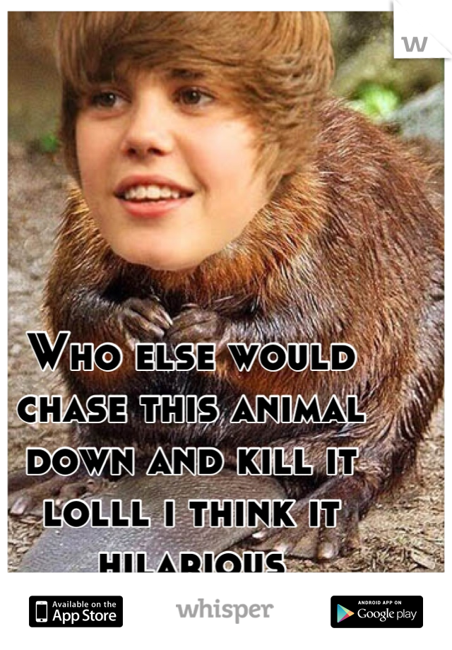 Who else would chase this animal down and kill it lolll i think it hilarious