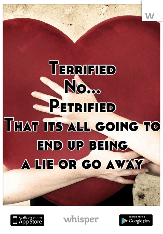 Terrified
No...
Petrified
That its all going to end up being 
a lie or go away