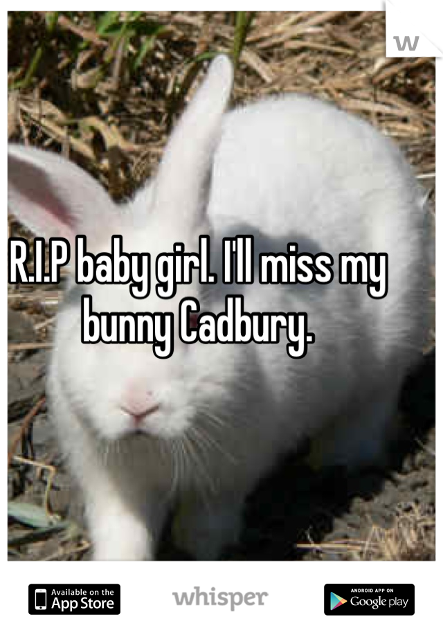 R.I.P baby girl. I'll miss my bunny Cadbury.