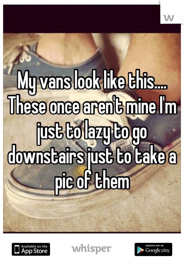 My vans look like this.... These once aren't mine I'm just to lazy to go downstairs just to take a pic of them