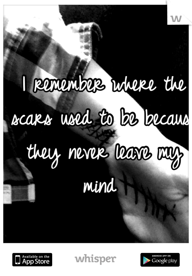 I remember where the scars used to be because they never leave my mind 