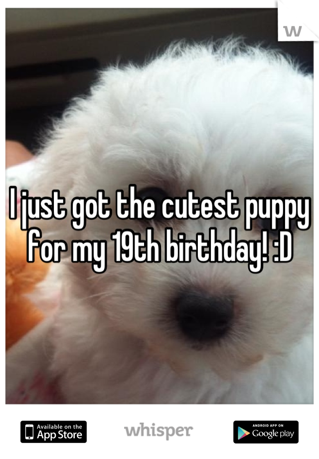 I just got the cutest puppy for my 19th birthday! :D