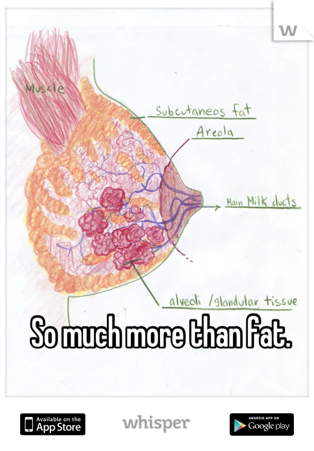 So much more than fat.