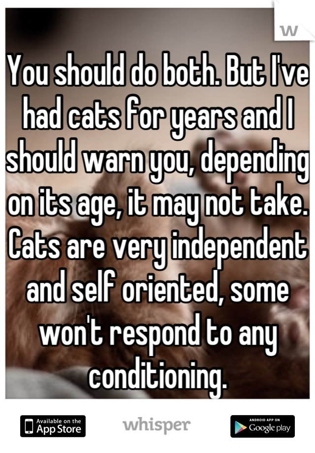 You should do both. But I've had cats for years and I should warn you, depending on its age, it may not take. Cats are very independent and self oriented, some won't respond to any conditioning.