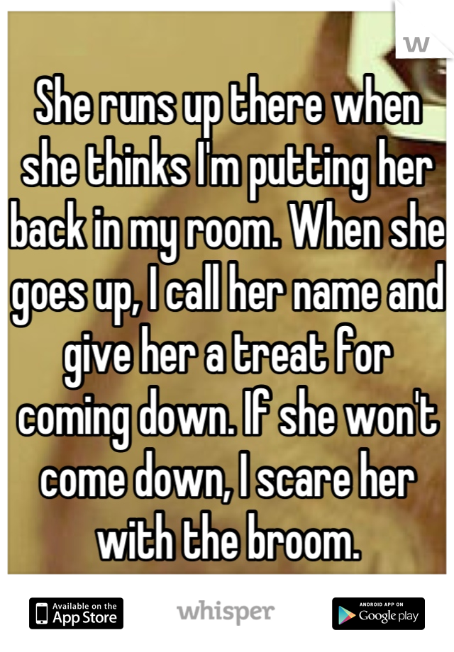 She runs up there when she thinks I'm putting her back in my room. When she goes up, I call her name and give her a treat for coming down. If she won't come down, I scare her with the broom.