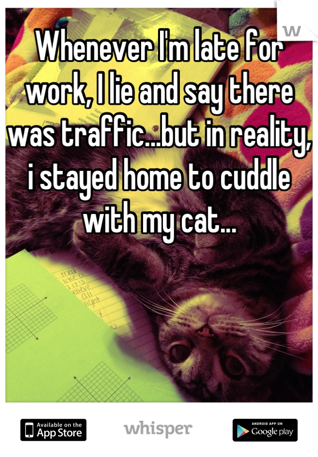 Whenever I'm late for work, I lie and say there was traffic...but in reality, i stayed home to cuddle with my cat...