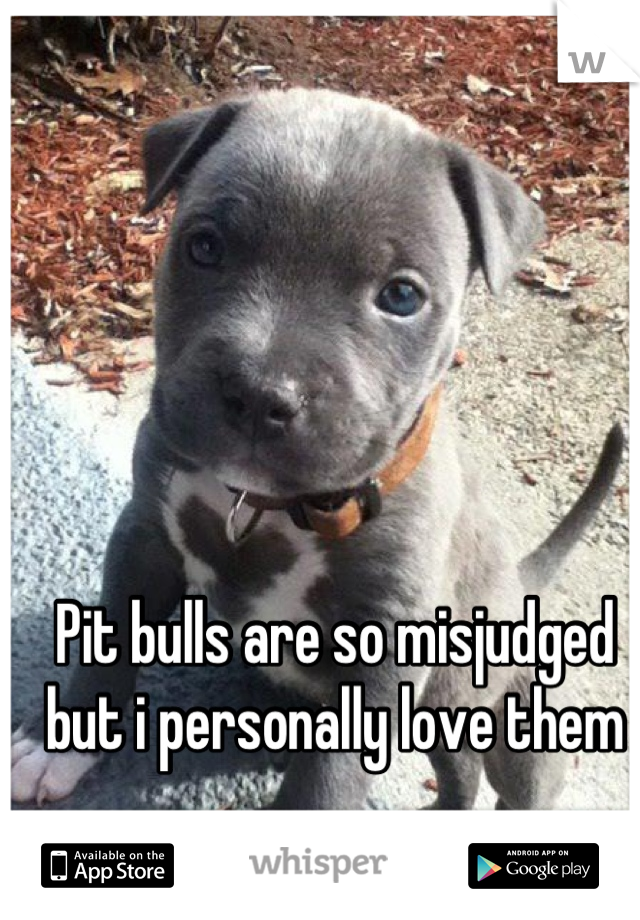 Pit bulls are so misjudged but i personally love them