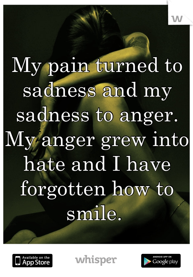 My pain turned to sadness and my sadness to anger. My anger grew into hate and I have forgotten how to smile. 