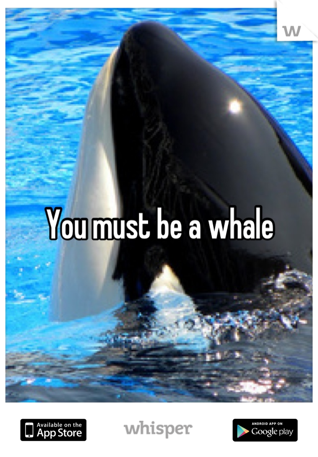 You must be a whale