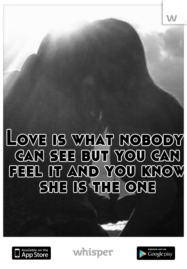 Love is what nobody can see but you can feel it and you know she is the one