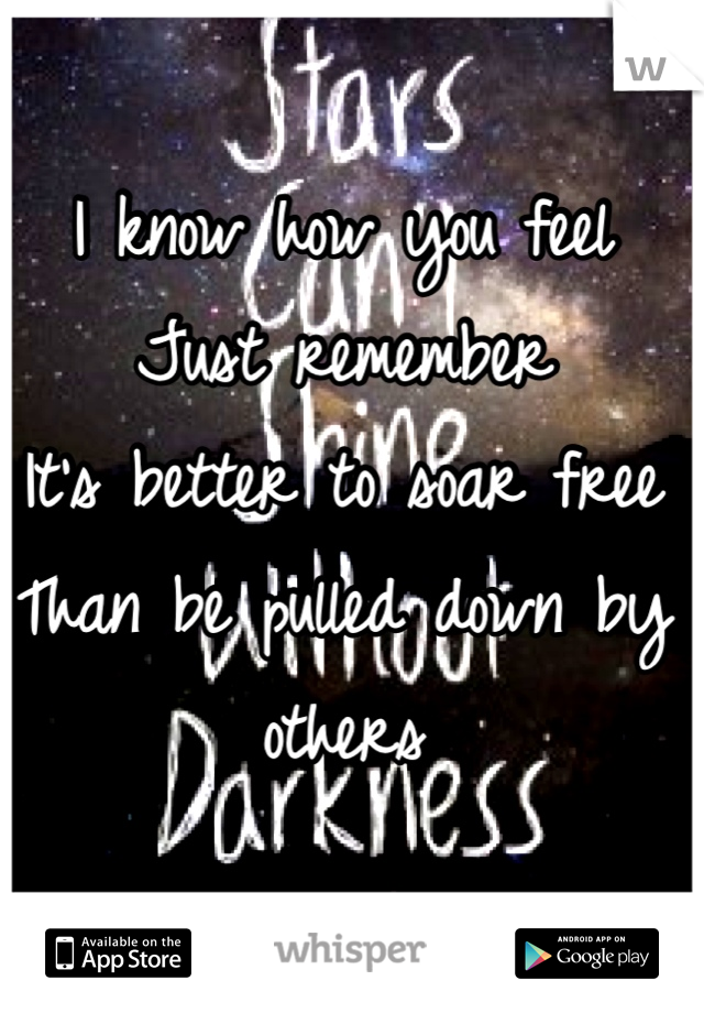 I know how you feel
Just remember 
It's better to soar free
Than be pulled down by others
